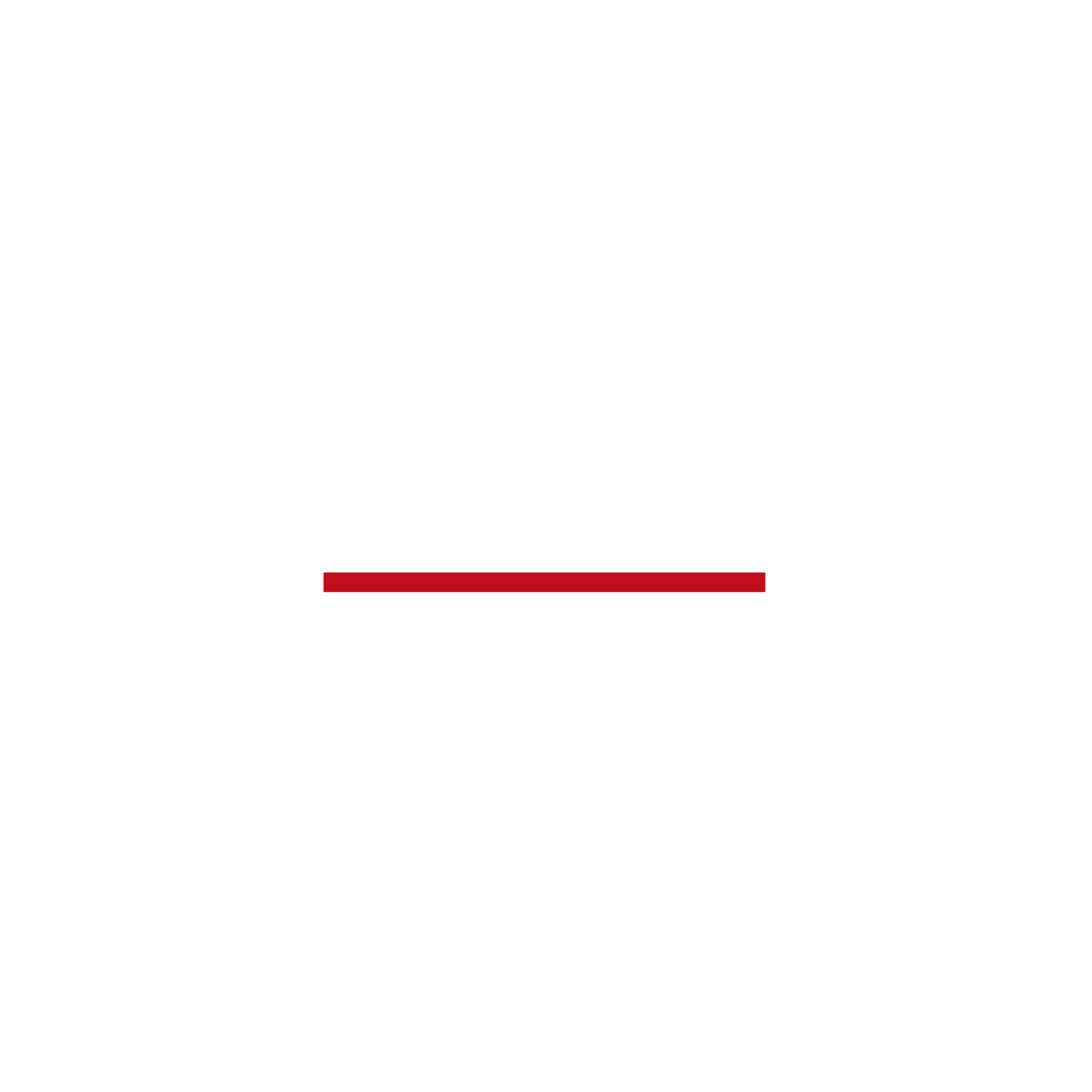 Camozzi Group logo | Marzoli Official Camozzi Group logo