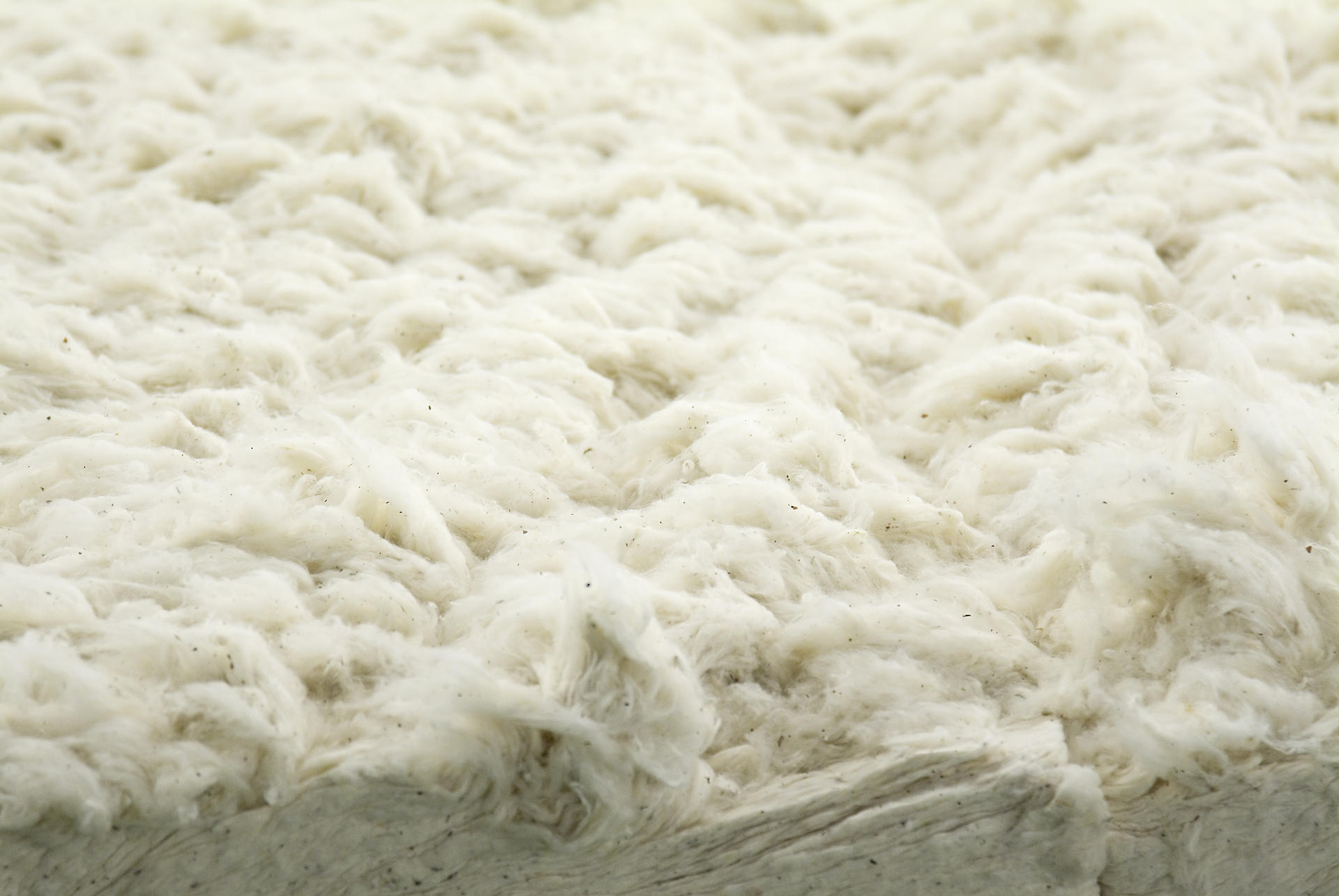 Raw textile material for spinning